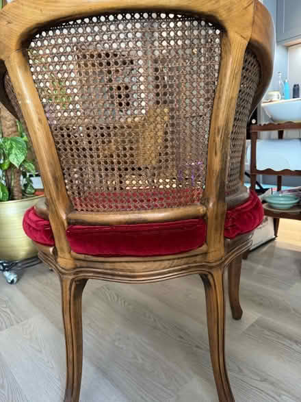 Photo of free Chair (South Kensington SW7) #1