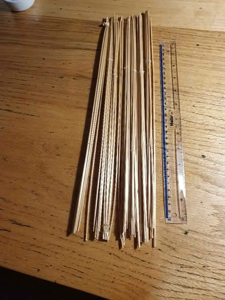 Photo of free Stalks for corn dolly making (Pipers Ash CH2) #1