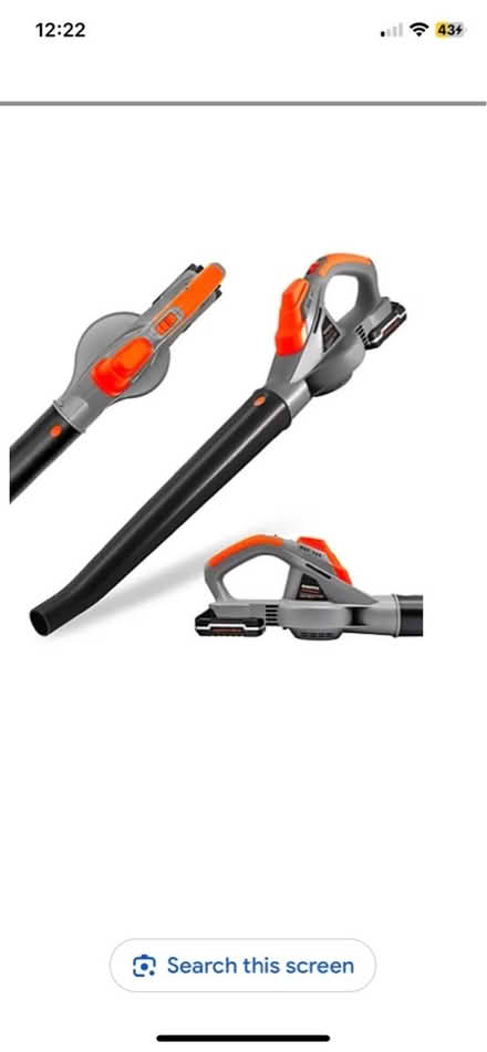 Photo of Leaf blower (Bedfont TW14) #1