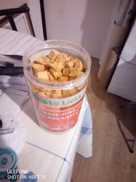 Photo of free Cat treats (Chingford E4) #1