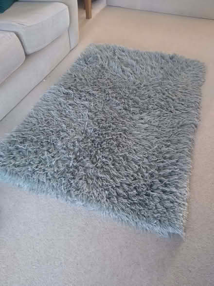 Photo of free Living room/bedroom rug (Holbrooks CV6) #1