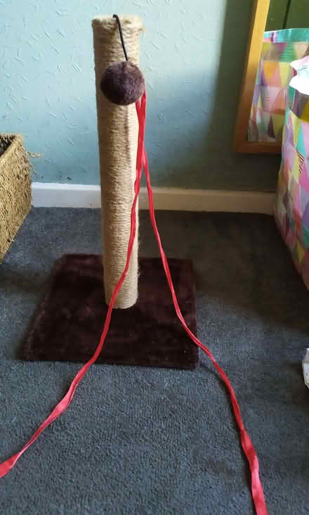 Photo of free Cat scratching post (West Bowling BD5) #1