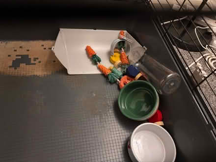 Photo of free Rabbit cage (Rawmarsh S62) #4