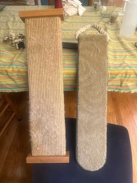 Photo of free Cat supplies (NE Seattle) #2