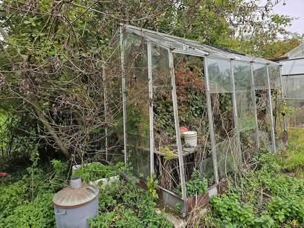 Photo of free Glass Greenhouse x 2 (Swindon, SN6) #3