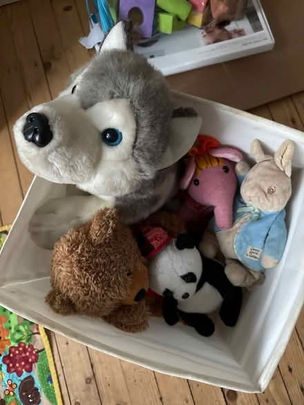 Photo of free Stuffed toys x 5 (Pollokshields, G41) #1