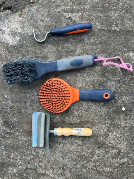 Photo of free Horse grooming supplies (St Margarets TW1) #1