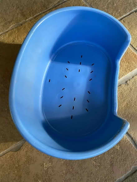 Photo of free Small dog bed (North Mundham, Chichester) #1