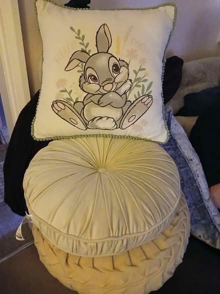 Photo of free Cushions (Durham) #1