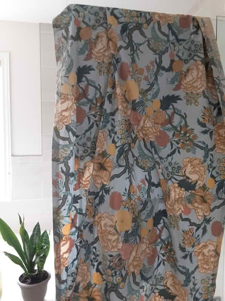Photo of free 2 curtain panels (Dunrobin) #1