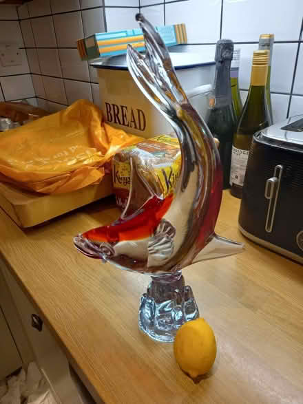 Photo of free Glass fish ornament (Roundhill area brighton) #2