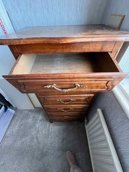 Photo of free French solid wood tallboy (St Leonards TN38) #2