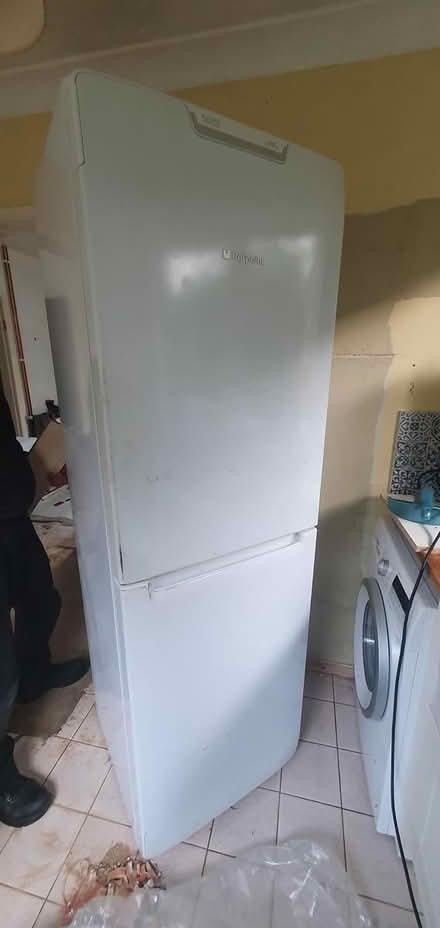 Photo of free Freestanding fridge freezer (Ashwicken PE32) #2