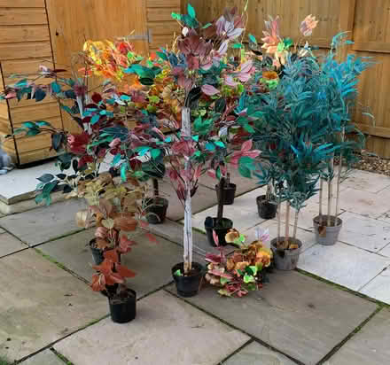 Photo of free 10 Artificial Plants (Southport PR9) #1