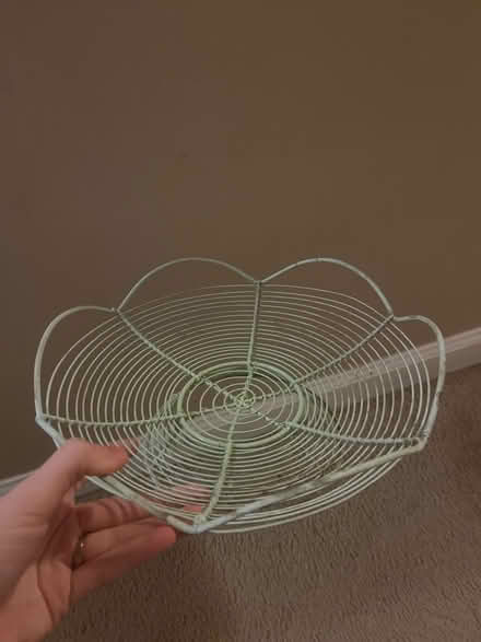 Photo of free Green wire tray (Royal Oak, MI) #1