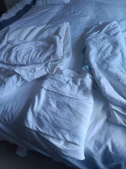 Photo of free One double and two single mattress covers (Fords Farm RG30) #1