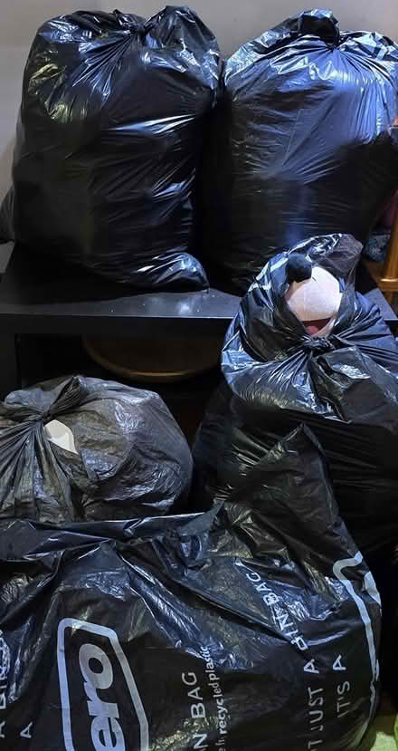 Photo of free 5 bags of stuffed toys etc (Cumbernauld G67) #1