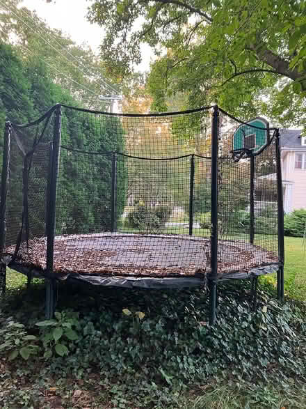 Photo of free Trampoline 14 ft AlleyOOP sports (Swarthmore) #1