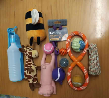 Photo of free Collection of dog toys (West Bowling BD5) #1