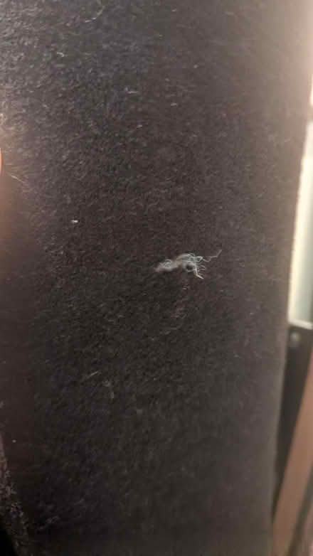 Photo of free soft fabric armchair (Galleons Reach E16) #2