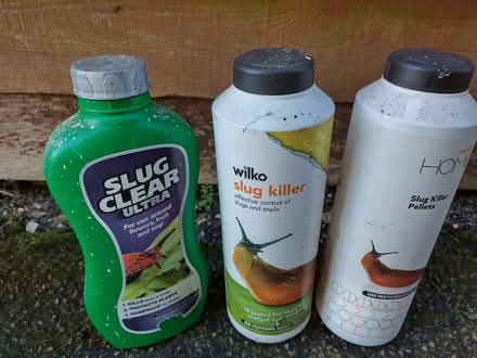 Photo of free Slug pellets (Roseacre ME15) #1