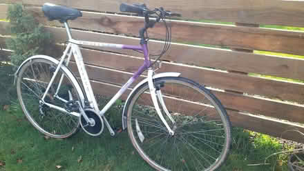 Photo of free Raleigh Pioneer Classic bike (Roche PL26) #1