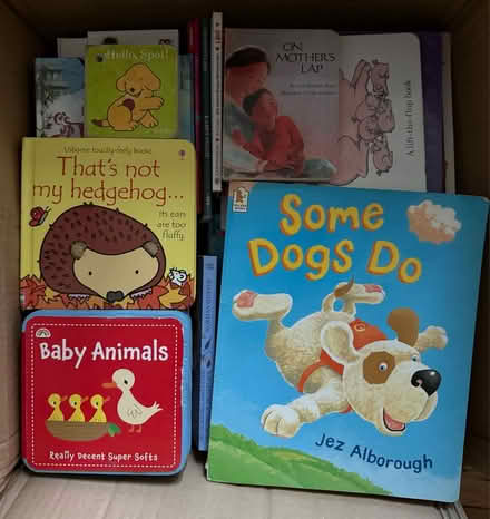 Photo of free 2 boxes of baby & young child books (Pollokshields, G41) #1