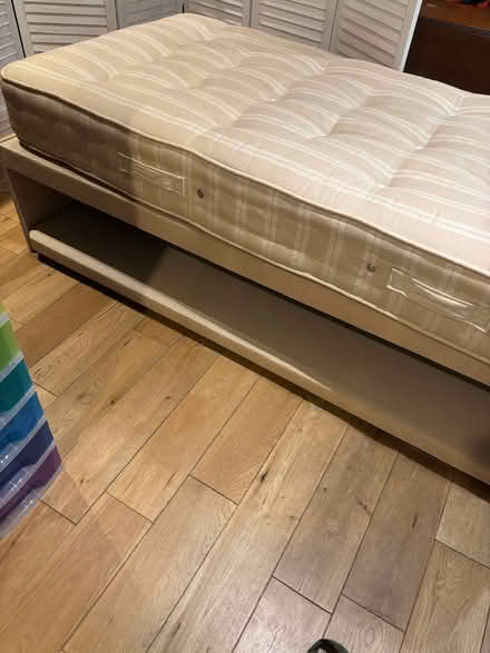 Photo of free Single beds (DY8 Oldswinford) #3
