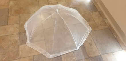 Photo of free Food cover (Linslade LU7) #1