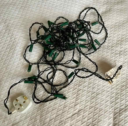 Photo of free Christmas Lights (Kentwood RG30) #1