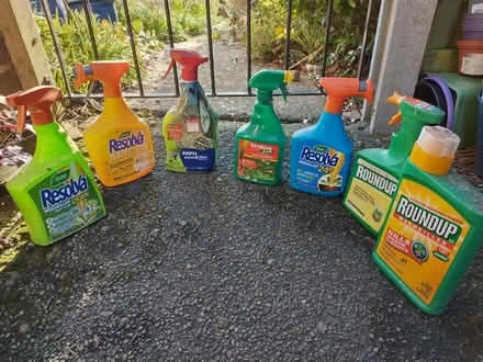 Photo of free Range of Patio and Lawn Weed Killers (Roseacre ME15) #1
