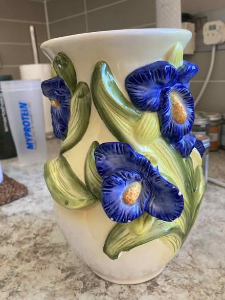 Photo of free Colourful vase (Brentwood CM15) #1