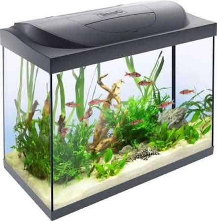 Photo of Fish tank / aquarium (Epping CM16 7) #1