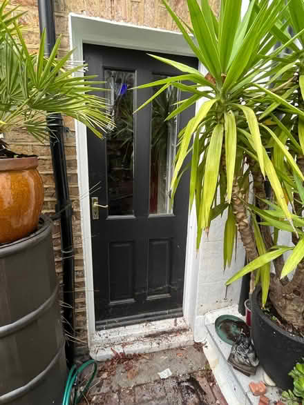 Photo of free Timber external door (Addiscombe CR0) #2