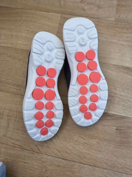 Photo of free Skechers Slip-On (Fiveways Brighton) #2