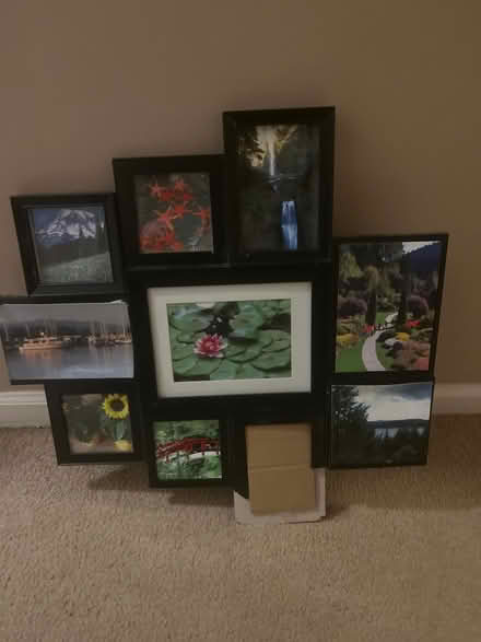 Photo of free Photo collage display (Royal Oak, MI) #1
