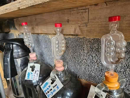 Photo of free Wine making equipment (Shortlands) #2