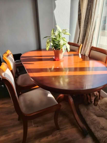 Photo of free Table six chairs (Seaford) #1