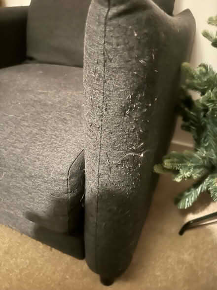 Photo of free Armchair (Fishers green SG1) #3