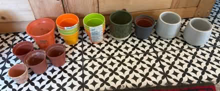 Photo of free Small plant pots (Hollingbury) #1
