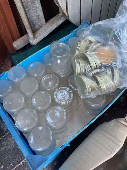Photo of free 64 X 1/2 pound honey jars (some lids) (Emsworth PO10) #1