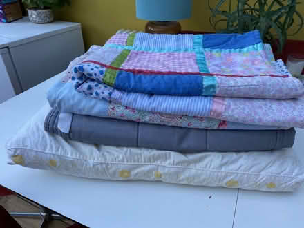 Photo of free Bedspreads and pillow (St Albans AL3) #1