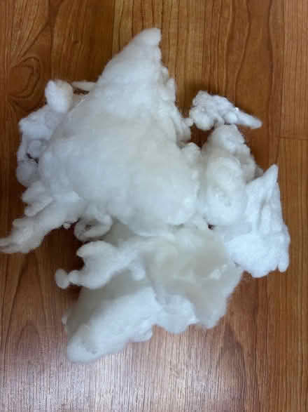 Photo of free Pillow stuffing (Stapleton BS16) #1