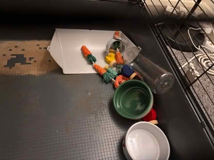 Photo of free Rabbit cage (Rawmarsh S62) #3