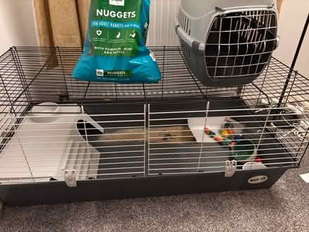 Photo of free Rabbit cage (Rawmarsh S62) #2