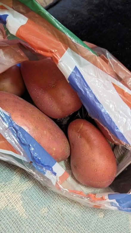 Photo of free Vegetables and pies (Braithwaite BD22) #2