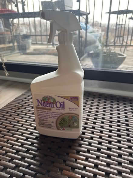 Photo of free Neem oil spray (Tyson’s/Falls Church) #1