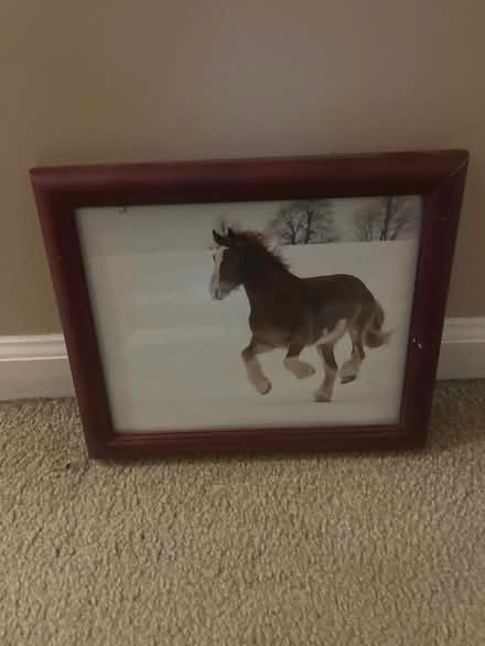 Photo of free Framed horse picture (Royal Oak, MI) #1