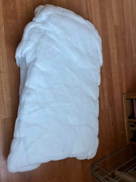 Photo of free Pillow filling (Stapleton BS16) #1
