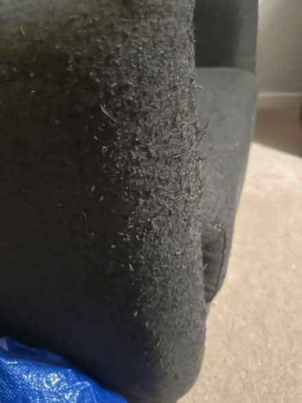 Photo of free Armchair (Fishers green SG1) #2